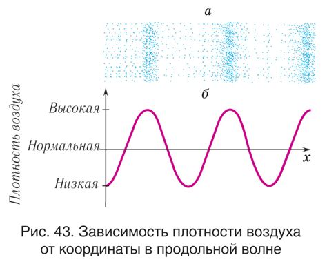 Акустика: звуковые явления, примеры, объяснение