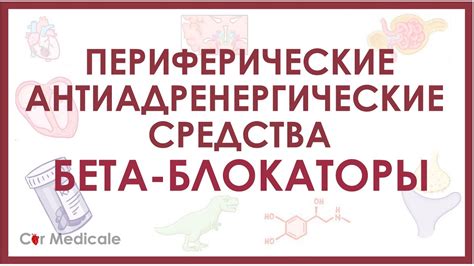 Бета-блокаторы: замедление сердечного ритма