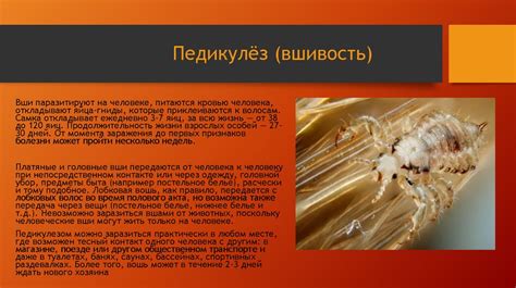 Болезни кожи, вызываемые лягушками