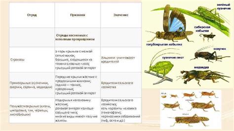 Важность сохранения их мест обитания