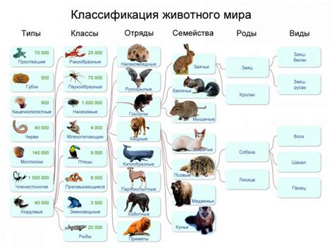Виды животных, формирующих прайды: