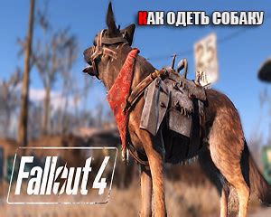 Где искать собаку в Fallout 4