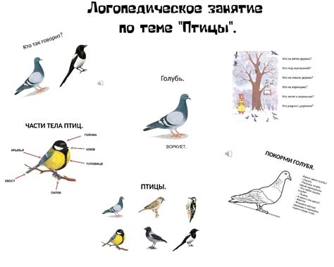 Звуки, которые издают белки