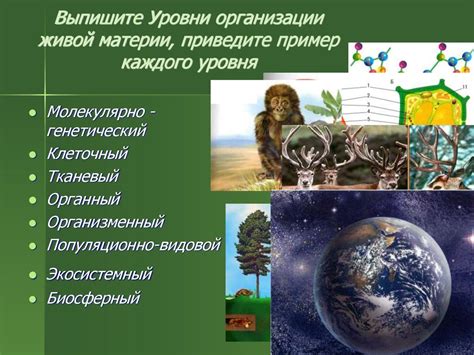 История развития биологии и открытия