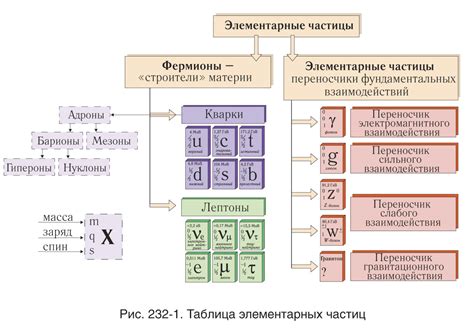 Какие существуют элементарные частицы: исследуем основные строительные блоки вселенной