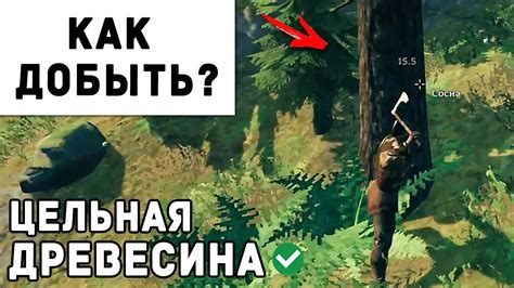 Как добыть необработанную древесину