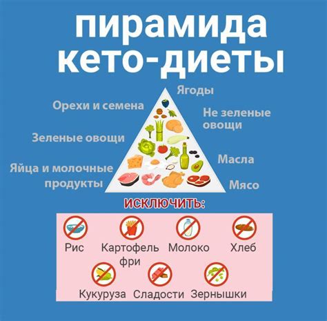 Кето-диета: список молочных продуктов