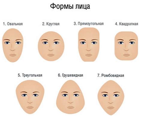Овал лица: главные черты и особенности