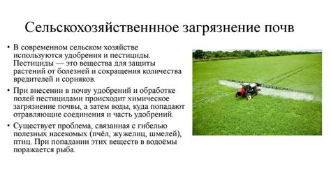 Основные меры по сохранению плодородия почвы