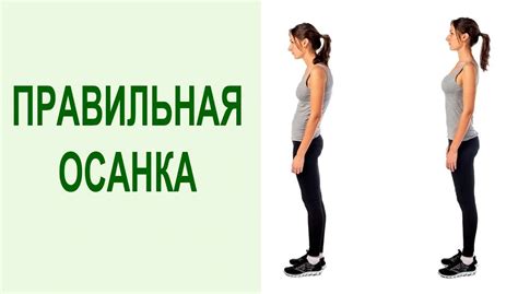 Основные правила осанки
