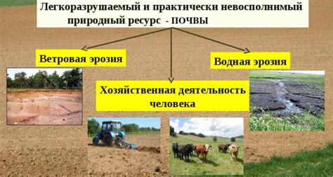 Основные факторы разрушения почвенного плодородия