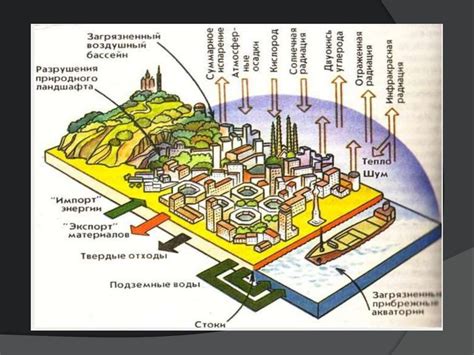 Особенности экологической системы