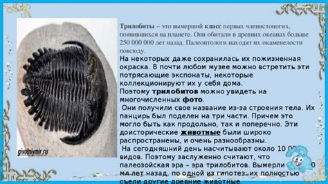 Поиск древних обломков в океанах