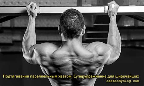 Различные хваты в подтягивании: эффективная тренировка для спины