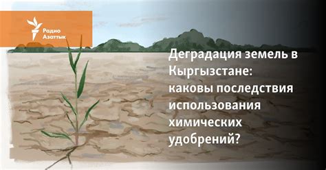Регламентация использования химических удобрений