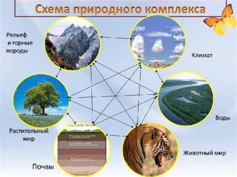 Села с названиями, связанными с природными объектами или животным миром