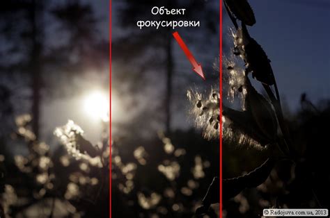 Фокусировка