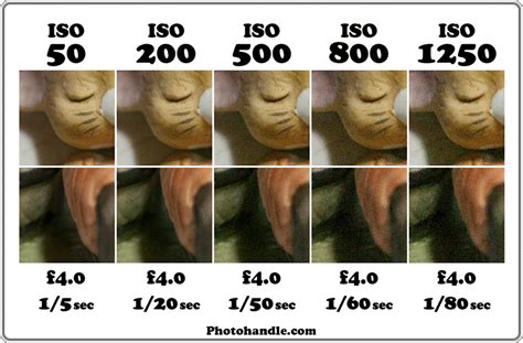 Чувствительность ISO