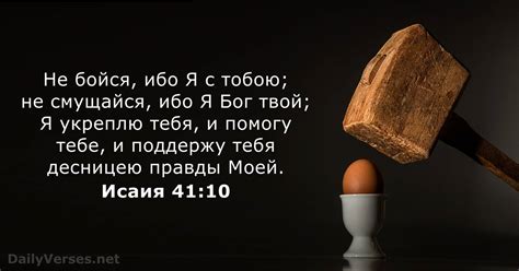  "Забудь, что здесь видел. И я забуду, что не должен был этого видеть"