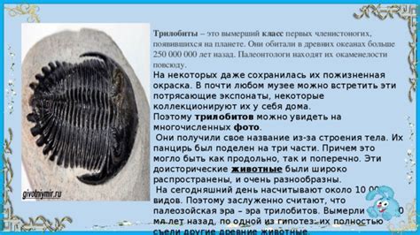  Как настроить высоту поиска древних обломков 