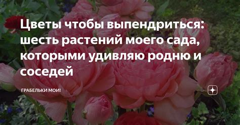 "Выпендриться": нюансы значения и популярные ситуации использования