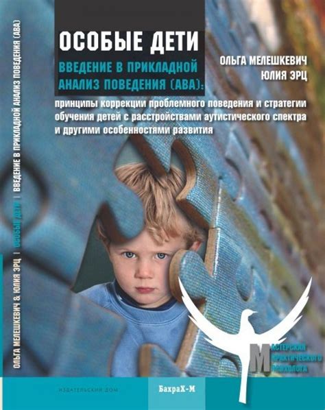«Люба и Миша Коровин: анализ поведения и условия взаимодействия»
