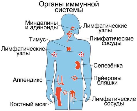 Автоиммунные заболевания и изменения количества гранулоцитов