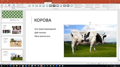 Автоматическое удаление фона через инструменты PowerPoint