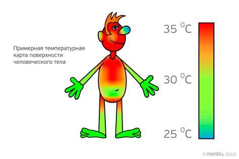 Адаптация утят к комфортной температуре