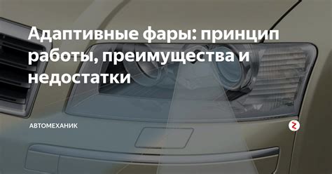 Адаптивные преимущества стремительно прикрепленного типа листа