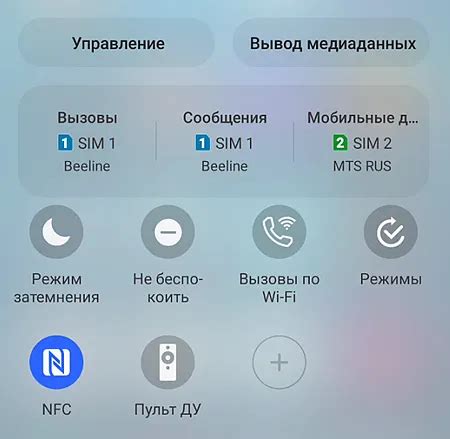 Активация специальных возможностей в настройках TLauncher