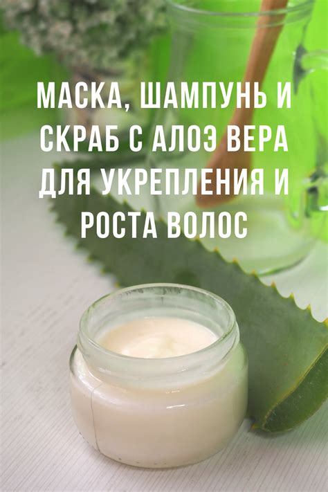 Алоэ вера – эффективное средство для укрепления и стимулирования роста волос