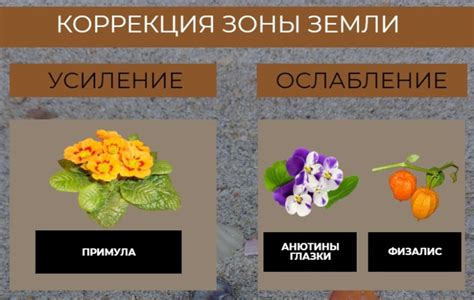 Альтернативные методы удаления заметных оттенков при помощи комнатных ингредиентов