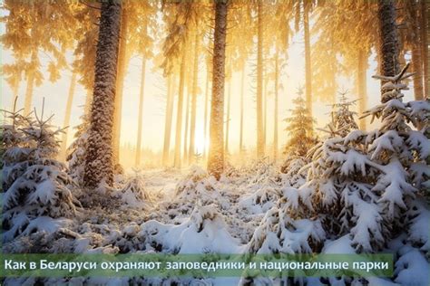 Альтернативные предложения: полемика вокруг отмечания 7 ноября в Республике Беларусь