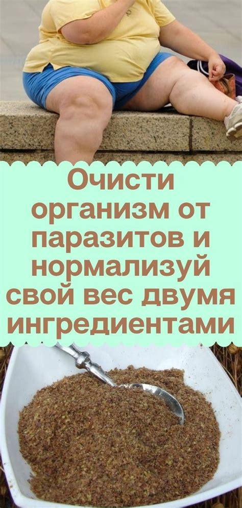 Альтернативные способы борьбы с непрошеными гостями