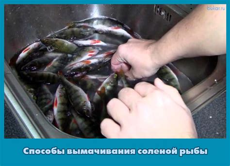 Альтернативные способы использования соленой рыбы