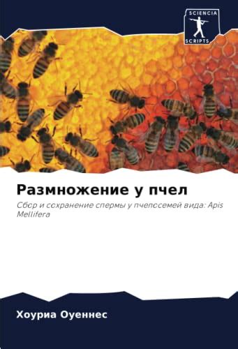 Альтернативные средства, безвредные для пчел: сохранение населения
