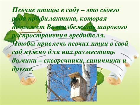 Анализировать источники распространения вредителя