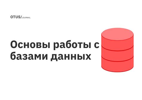 Анализ и оптимизация работы с файлами и базами данных