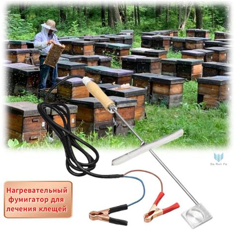 Анализ плюсов и минусов использования щавелевой кислоты в пчеловодстве