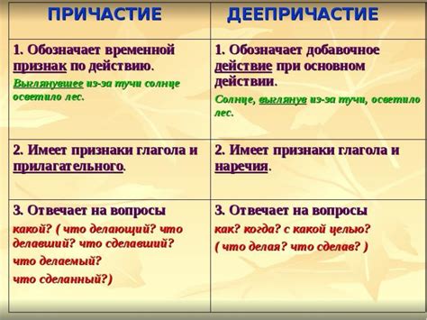 Анализ предложения с использованием причастия: ключевые признаки и методы определения