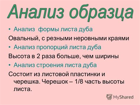 Анализ пропорций листа: важные аспекты и подходы