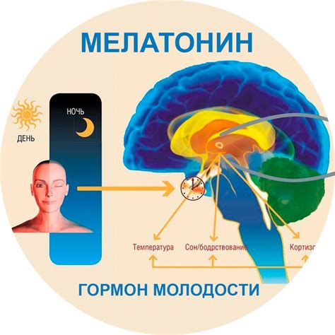 Анализ сна и его связь с индивидуальностью