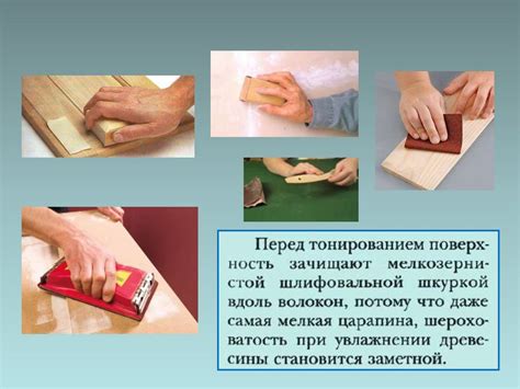 Анализ структуры древесины: влияние на подбор отделки стеных покрытий