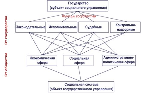 Аналогичная структура органов: родственные признаки