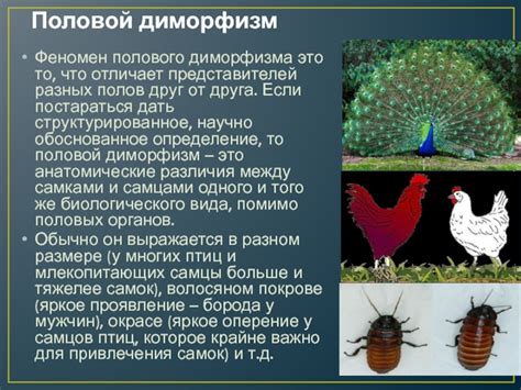 Анатомические особенности поясницы у представителей разных полов