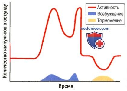 Аномальная активность нервных рецепторов
