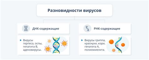 Антибиотики и противомикробные препараты