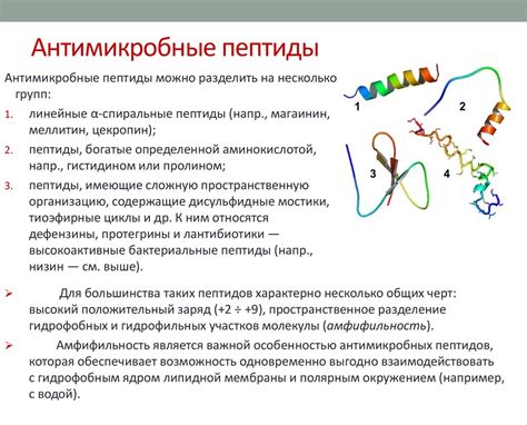 Антимикробные пептиды: неотъемлемые агенты в борьбе за выживание