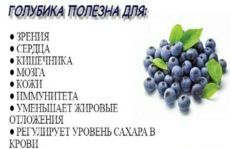 Антиоксиданты в голубике